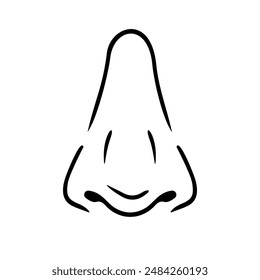 Hand drawn human nose line art vector illustration, human anatomy educational material
