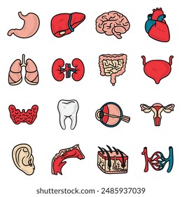 Hand Drawn Human Organ Colored Set