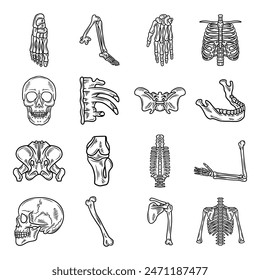 Hand Drawn Human Skeleton No Color Set