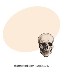 Hand drawn human skull, anatomical model, sketch style vector illustration with space for text. Realistic front view hand drawing of human skull