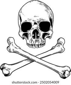 Hand drawn Human Skull with Crossed Bones Sketch Illustration