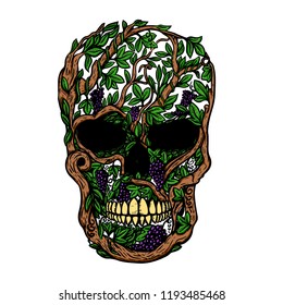 Hand Drawn Human Skull Made from grapevine. Design element for poster, t shirt. Vector illustration