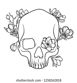 Hand drawn human skull with magnolia flowers and branches in orbit and on background outline vector print illustration