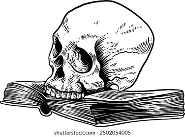 Hand drawn Human Skull on top of a Book Sketch Illustration