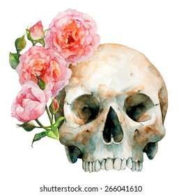 Hand Drawn Human Skull With Pink Roses, Watercolor Sketch, Vector Illustration -  Halloween, Day Of The Dead.