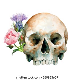 Hand Drawn Human Skull With Pink Rose and Purple Thistle, Watercolor Sketch, Vector Illustration - Halloween, Day Of The Dead.