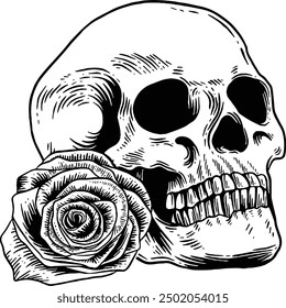 Hand drawn Human Skull with Rose Sketch Illustration