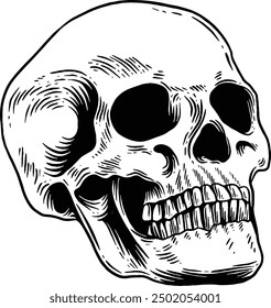 Hand drawn Human Skull Sketch Illustration