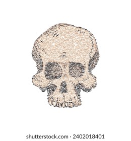 Hand drawn human skull. T shirt graphic design
