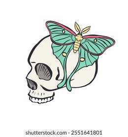 Hand drawn human skull with teal luna moth wings isolated on white background. Bohemian skeleton head with butterfly design