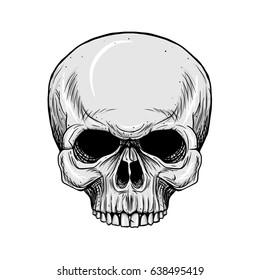 Hand drawn human skull without lower jaw white background  Vector illustration