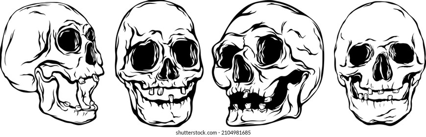Hand drawn human skulls isolated on white. Isolated vector on light background
