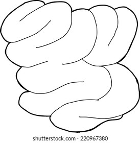 Hand drawn human small intestine cartoon outline