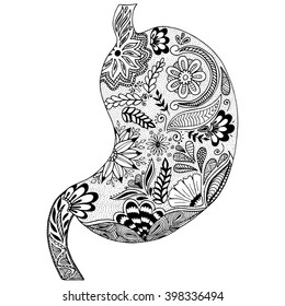 Hand drawn human stomach. Human stomach in doodle style.