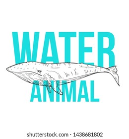 Hand drawn humpback whale with colored inscriptions isolated on white background. Vector illustration. Creative minimalistic design concept for poster, cover.