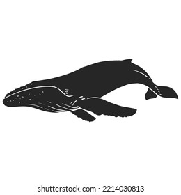 Hand drawn humpback whale vector illustration