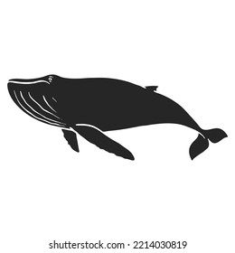 Hand drawn humpback whale vector illustration