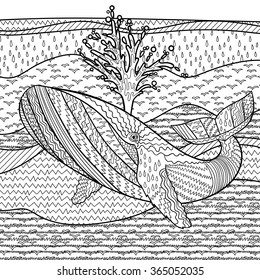 Hand drawn humpback whale in the waves for anti stress Coloring Page with high details, isolated on pattern background, illustration in zentangle style. Vector monochrome sketch. Marine collection.