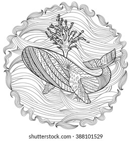 Hand drawn humpback whale in the waves for anti stress Coloring Page with high details, isolated on pattern background, illustration in zentangle style. Vector monochrome sketch. Marine collection.