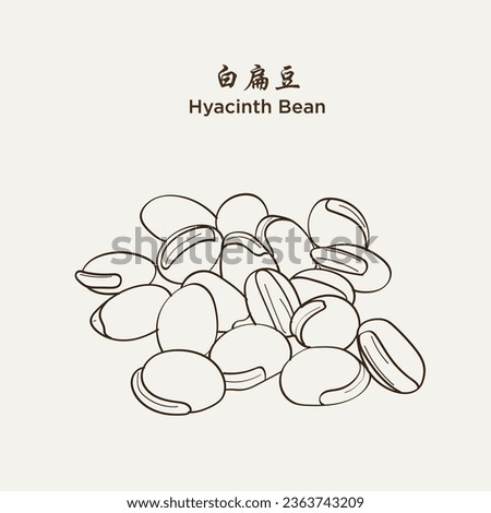 Hand drawn Hyacinth Bean 扁豆(lablab purpureus, egyptian bean, flat bean). Medicinal herbs plant. Hand drawn vector illustration in sketch style. EPS 10 商業照片 © 