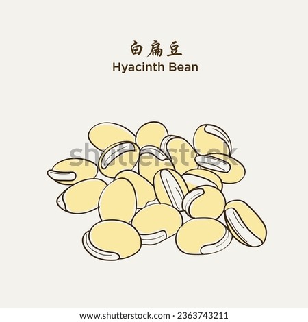 Hand drawn Hyacinth Bean 扁豆(lablab purpureus, egyptian bean, flat bean). Medicinal herbs plant. Hand drawn vector illustration in sketch style. EPS 10 商業照片 © 