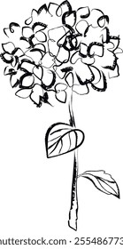 Hand drawn hydrangea flower illustration. Freehand black drawing. Hortensia illustration. black and white botanical vector drawing.
