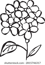 Hand Drawn Hydrangea Flower Line Art with Leaves