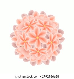 Dibujo manual hidrangea rosa imagen vectorial de flor rosa, fondo blanco de planta natural, celebración de boda elemento de invitación de cumpleaños, pegatina, papel tapiz, empaque