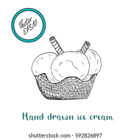Hand drawn ice cream with waffle and big ice cream balls. Vector stock illustration. Sweet shop collection. Frozen yogurt.