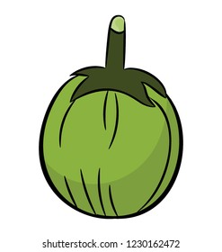 Hand Drawn Icon Of Ash Gourd