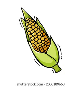 Hand drawn icon of corn in doodle style isolated on white background.