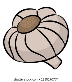 Hand drawn icon design of a garlic clove