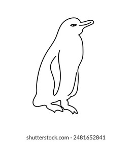 Hand Drawn icon for A Galapagos Penguin standing on a rock (Spheniscus mendiculus) 