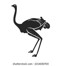 Hand drawn icon ostrich. vector illustration.
