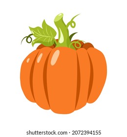 Hand drawn icon of pumpkin in doodle style isolated on white background.