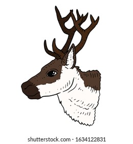 a hand drawn icon of a reindeer.