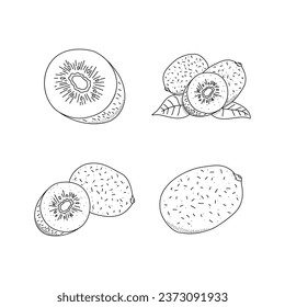 Hand drawn icon set of kiwi fruit isolated on white background.