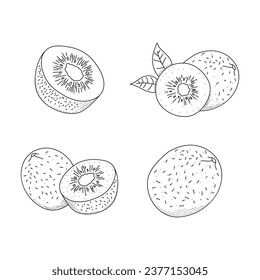 Hand drawn icon set of kiwi fruit isolated on white background.