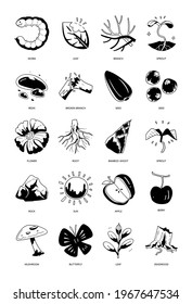hand drawn icon set of natural isolated on white background.