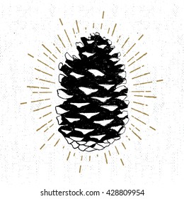 Hand drawn icon with a textured fir cone vector illustration.