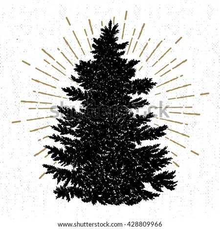 Hand Drawn Icon Textured Fir Tree Stock Vector (Royalty Free) 428809966