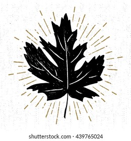 Hand drawn icon with a textured maple leaf vector illustration.