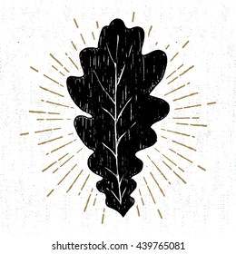 Hand drawn icon with a textured oak leaf vector illustration.
