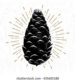 Hand drawn icon with a textured pine cone vector illustration.