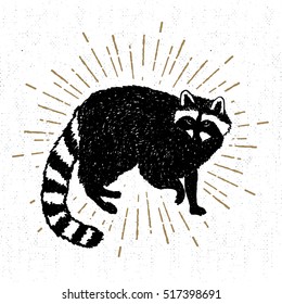 Hand Drawn Icon With Textured Raccoon Vector Illustration.