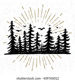Hand drawn icon with a textured spruce trees vector illustration.