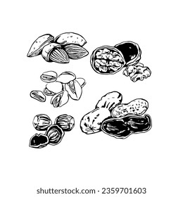 Hand drawn icons of nuts, almonds, hazelnuts, pistachios. Vector black and white illustration isolated on white background.