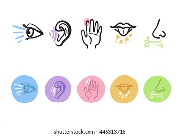 Hand drawn icons representing the five senses
