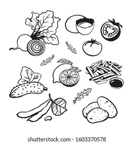 Hand drawn Icons of the Set of Vegetables