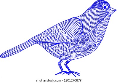 Hand drawn illustration - abstract bird monochromatic drawing, cute line art. 